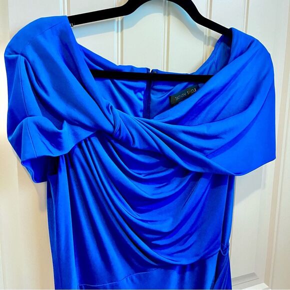 Tadashi Shoji Blue Cocktail Dress Form Fitting Elegant Stretch Size Large - Picture 2 of 6